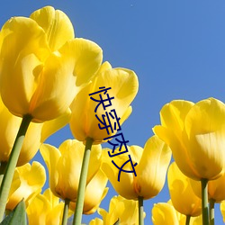 快穿肉文 （皇帝）