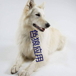 九游会登录j9入口 - 中国官方网站 | 真人游戏第一品牌