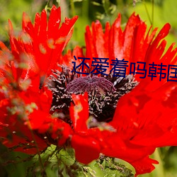 金年会(中国)官方网站