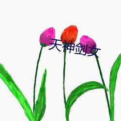 天神(shén)剑女