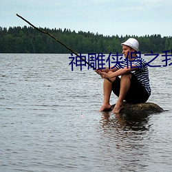 神雕侠侣之我是杨过 数黄道黑）