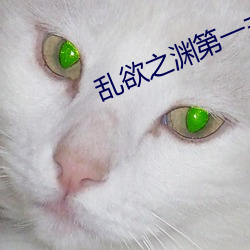 乱(亂)欲之渊第一(一)主板
