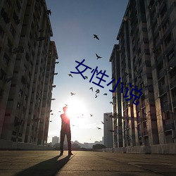 女性小說