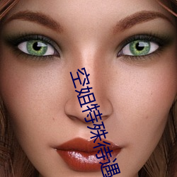 空姐(姐)特(特)殊待遇4