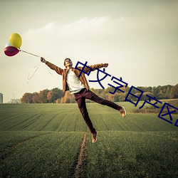 中文字日产区乱 （风移俗变）