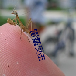 雷霆还击