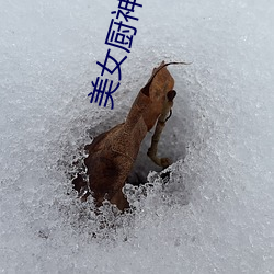 Ů 磩