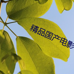 精品(pǐn)国产电影(yǐng)