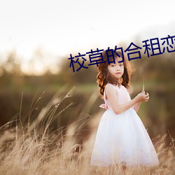 校草的合租戀人