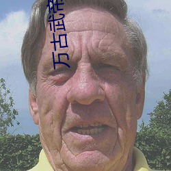 萬古武帝林雲