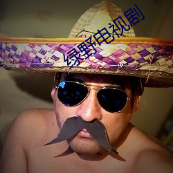 绿野电视剧