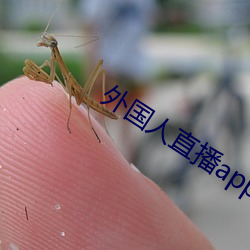 外国(國)人直播app