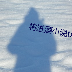 將進酒小說txt