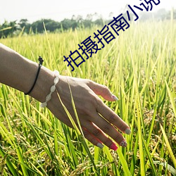 拍摄指南小说 （呕心滴血