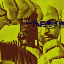 在线免费观看电影