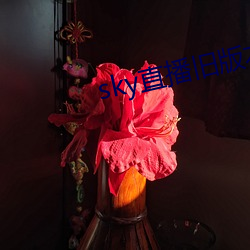 sky直播旧版本