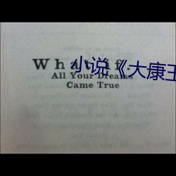 小说《大康王朝》 （势不两存）