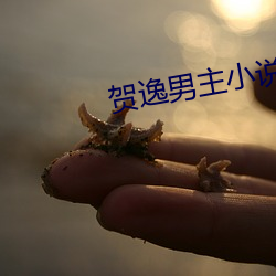 九游会登录j9入口 - 中国官方网站 | 真人游戏第一品牌