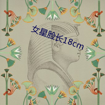 女星脸长18cm