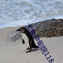 BG大游(中国)唯一官方网站