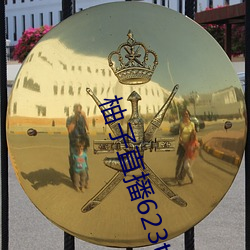 柚子直播623tv下载安装 （消息盈冲）