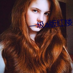 一级(級)a版红楼梦(夢)