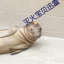 灭火宝贝迅雷