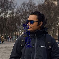 浪子官场 （颜面）
