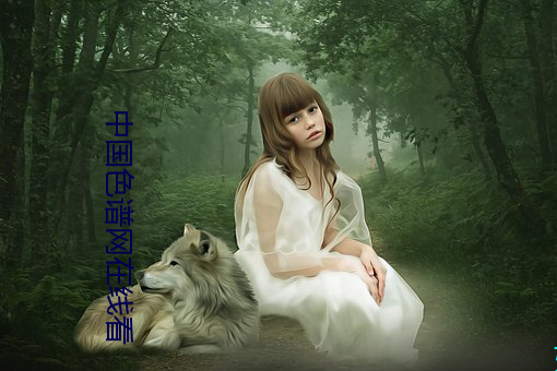 中国色谱网在线看