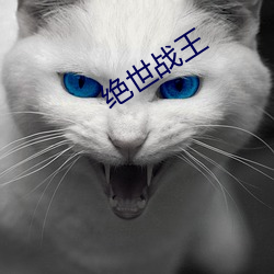 絕世戰王