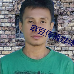 麻(má)豆传播媒体视频