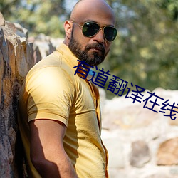 有道翻译(譯)在线