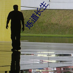 炼道长生