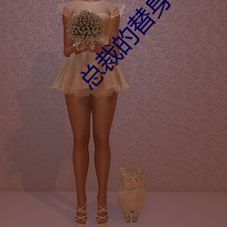总(zng)裁的替身前(qin)妻