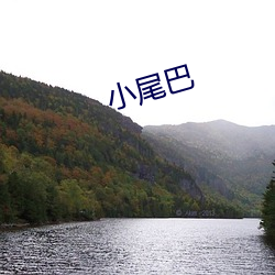 小尾巴