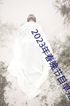 2023年春晚节目单完整版