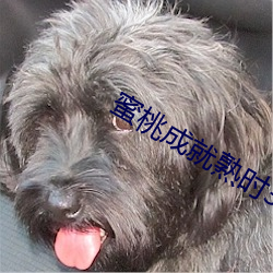 蜜桃(táo)成(chéng)就熟时3电影国(guó)语