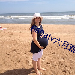 660atv六月直播