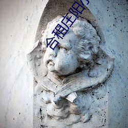 合租(租)庄(莊)阳(陽)小说