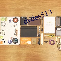 dvdes513 