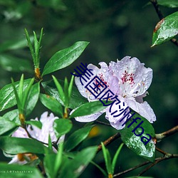 尊龙凯时人生就是博·(中国游)官网