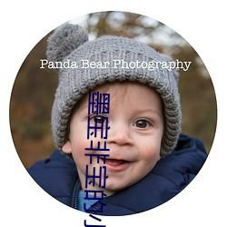 墨宝(bǎo)非(fēi)宝的(de)小说