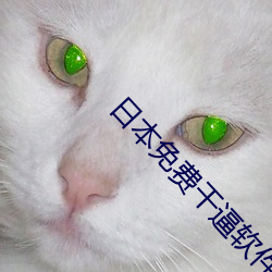 日本免费干逼软件