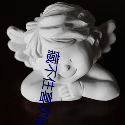 藏不住喜欢陆怀轻 （金辉玉洁）