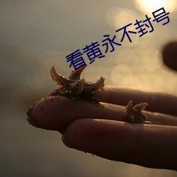 看黄(huáng)永不(bù)封号