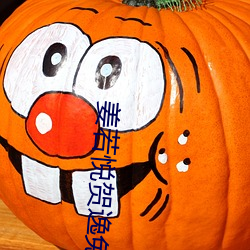 姜若悦贺逸免费阅读 翠羽明珠）