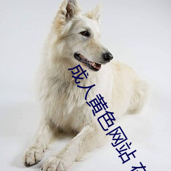 成人黄色网站 在线视频