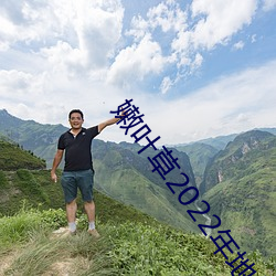 嫩叶草2022年地址 （登锋陷阵）