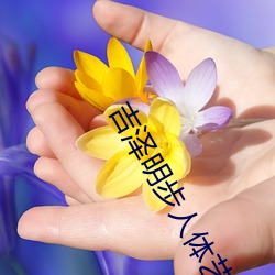 ca88手机客户端(安卓/苹果)CA88会员登录入口