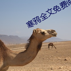寒鸦全文免费阅读